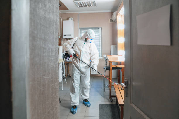 Best Asbestos and Lead Testing During Mold Inspection  in Barberton, WA